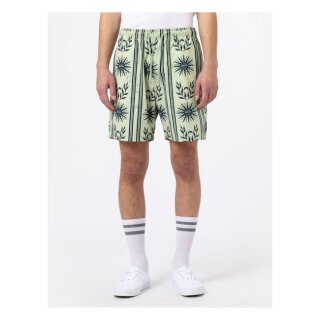 Dickies Kelso shorts celadon green