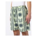 Dickies Kelso shorts celadon green