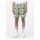 Dickies Kelso shorts celadon green