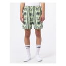 Dickies Kelso shorts celadon green