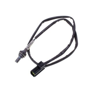 CVP, O2 sensor Triumph daytona, Speed Triple, Sprint, Tiger