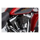 Cobra, naked air cleaner kit. Swept, black