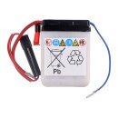 Yuasa, Conventional 6V battery