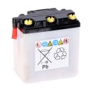 Yuasa, Conventional 6V battery