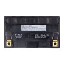 Yuasa, High performance AGM battery, YT12A-WC
