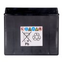 Yuasa, High performance AGM battery, YTX12-WC