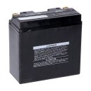 Yuasa, AGM battery, YT14B-WC