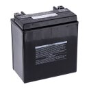 Yuasa, AGM battery, YTX16-WC