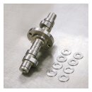 S&S, High-Performance camshaft kit with shims