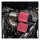 S&S, tuned induction air cleaner kit. Stainless