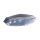 KOSO, Mini LED taillight. Smoke lens