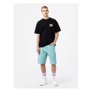 Dickies Duck Canvas shorts rec porcelain