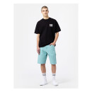 Dickies Duck Canvas shorts rec porcelain