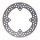Moto-Master Halo series fixed brake rotor