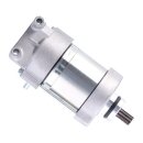 Ricks starter motor