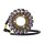 Ricks stator, OEM style MV Agusta