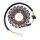 Ricks stator, OEM style MV Agusta
