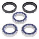 All Balls wheel bearing kit, front & rear