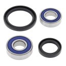 All Balls wheel bearing kit, front