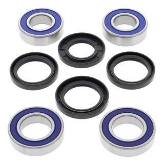 All Balls wheel bearing kit, rear