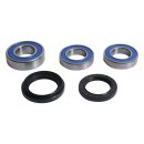 All Balls wheel bearing kit, rear