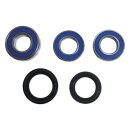 All Balls wheel bearing kit, rear