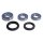 All Balls wheel bearing kit, rear