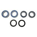All Balls wheel bearing kit, rear