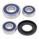 All Balls wheel bearing kit, rear