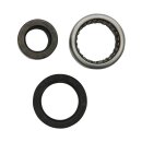 All Balls lower rear shock bearing kit