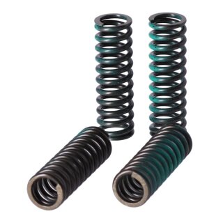 TRW clutch spring kit
