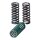 TRW clutch spring kit