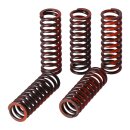 TRW clutch spring kit