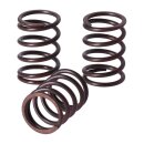 TRW clutch spring kit