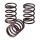 TRW clutch spring kit