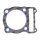 Athena, Cylinder head gasket