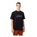 Dickies Union Springs T-shirt black