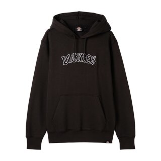 Dickies Union Springs hoodie black