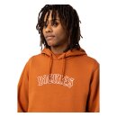 Dickies Union Springs hoodie gingerbread