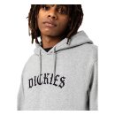 Dickies Union Springs hoodie grey melange