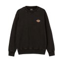 Dickies Icon Washed sweatshirt black