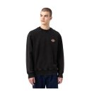 Dickies Icon Washed sweatshirt black