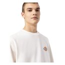 Dickies Icon Washed sweatshirt ecru