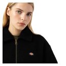 Dickies Palmerdale jacket black