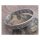 Amigaz Greco Bangle Stainless Steel