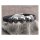 Amigaz Skull Head Leather Braid Bracelet