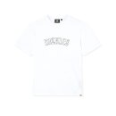 Dickies Union Springs T-shirt white