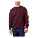 Carhartt Logo sweatshirt port