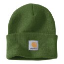 Carhartt Rib knit beanie arborvitae