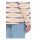 Dickies Falkville shirt ecru